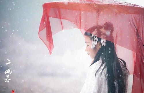 与雪白头,探寻岁月痕迹的美丽与智慧