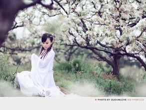 梨花落无生,无生世界之序章