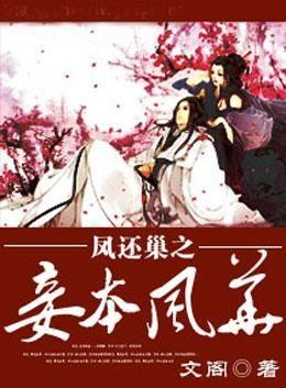 替身风华之凤还巢,替身风华之凤还巢传奇