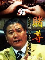 赌尊 賭尊,揭秘赌场传奇与人生抉择