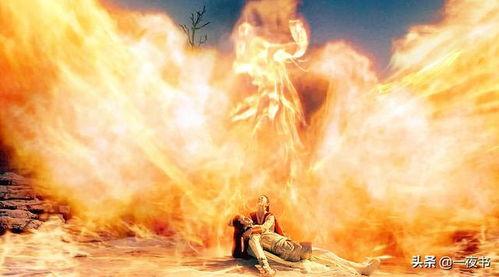 涅槃成凤,探寻生命的蜕变与升华