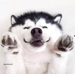 吃瓜群众视频合集在线观看